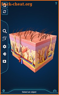 Skin Anatomy Pro. screenshot