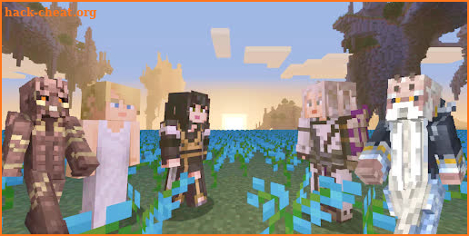 Skin Final Fantasy for Minecraft screenshot