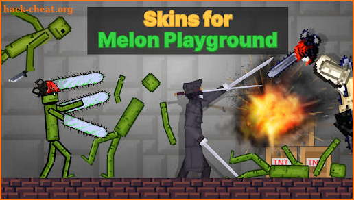 Skins for Melon Playground screenshot