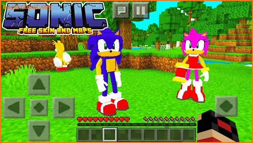 Skins Sonic Craft For Minecraft PE 2021 screenshot