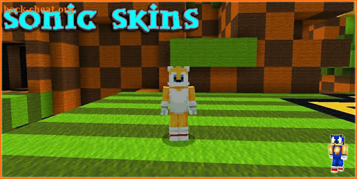 Skins Sonic for MCPE screenshot