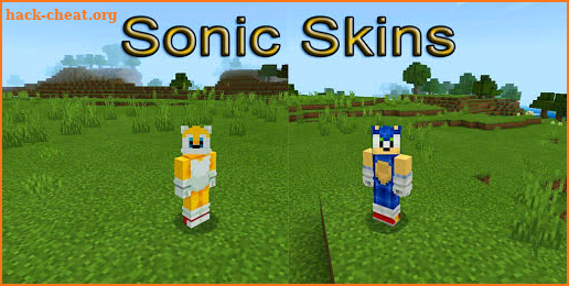 Skins Sonic for Minecraft PE screenshot