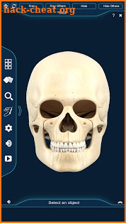 Skull Anatomy Pro. screenshot