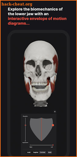 Skull, Teeth & TMJ screenshot