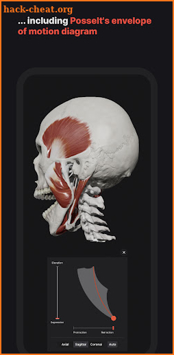 Skull, Teeth & TMJ screenshot