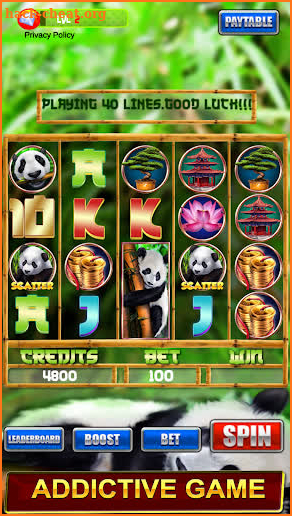 Slot Machine : Free Panda Slots screenshot