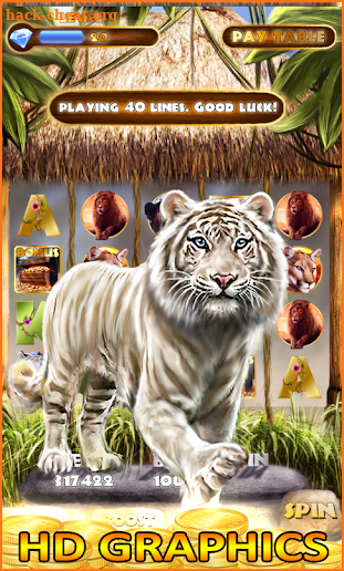Slot Machine : Wild Cats Slots screenshot
