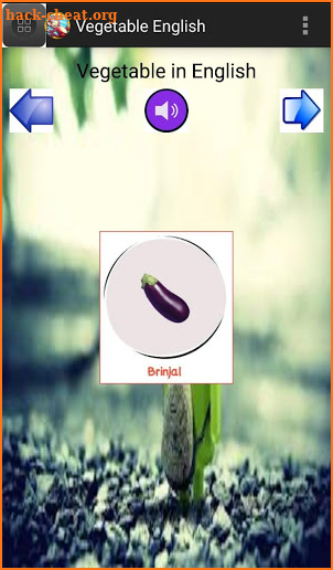 SMALL KIDS BASIC EDUCATIONAL VOICE AND PICTURE screenshot