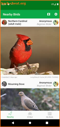 Smart Bird ID screenshot