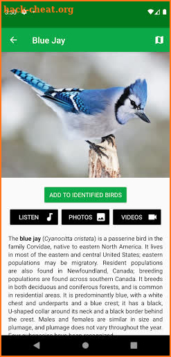 Smart Bird ID screenshot