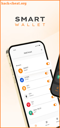 Smart Wallet screenshot