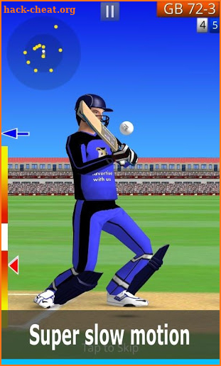 Smashing Cricket screenshot