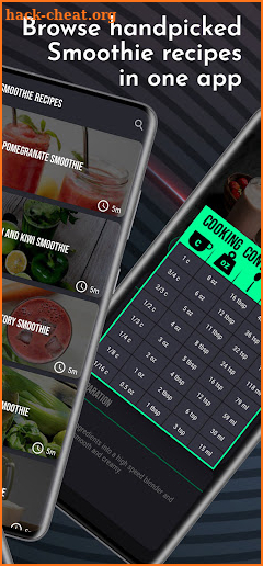 Smoothie Recipes screenshot