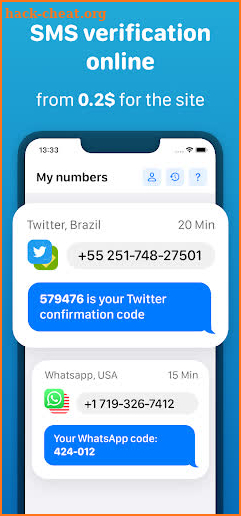 SMS Virtual - Receive SMS screenshot