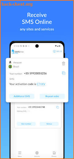 SMSPVA - Receive SMS Online screenshot