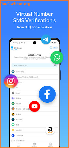 SMSPVA - Receive SMS Online screenshot