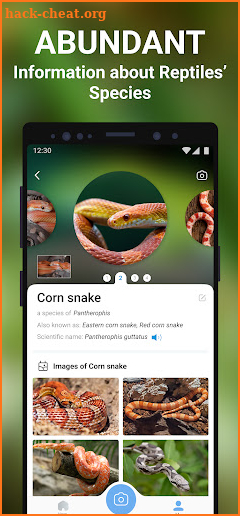Snake Identifier: Reptiles ID screenshot