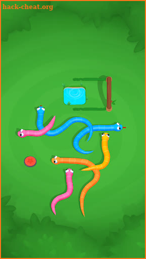 Snake Knot: Sort Puzzle Game screenshot