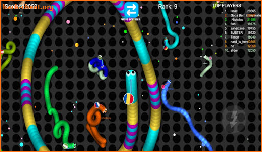 Snake Worm Zone Battle screenshot