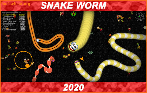 Snake Zone : wormsnakzone arena.io screenshot