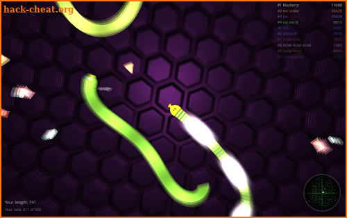 Snake.is MLG Edition screenshot
