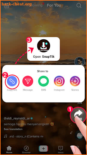 SnapTik: Tik Video Downloader screenshot