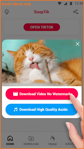 SnapTik: Tik Video Downloader screenshot