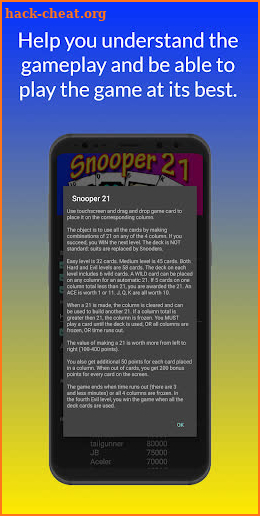 Snooper 21 screenshot