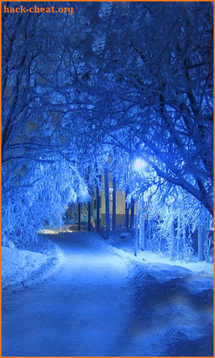 Snow Winter Night live wallpaper screenshot