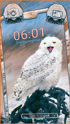 Snowy Owl Launcher Theme screenshot