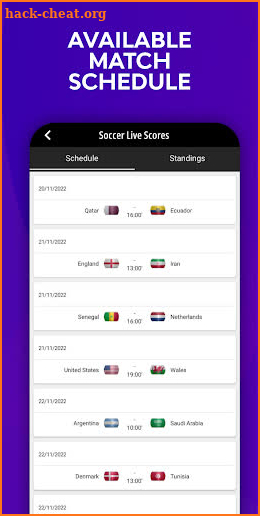 Soccer Live Scores screenshot