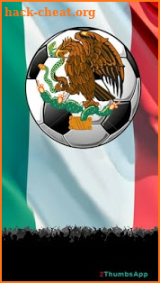 Soccer Mexican League screenshot