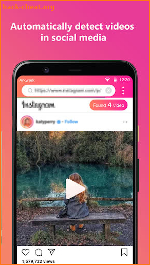 Social Platform Video Downloader screenshot