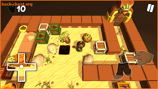 SokoRaccoon - Puzzles & Labyrinths screenshot