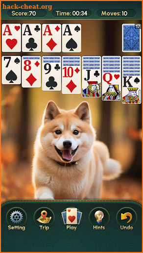 Solitaire:Classic Deluxe Cards screenshot