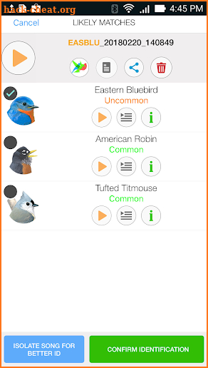 Song Sleuth: Auto Bird Song ID w/ David Sibley screenshot