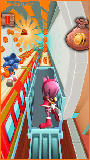 Sonic Crash Dash Run screenshot