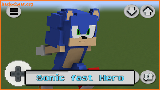 Sonic Fast Craft screenshot