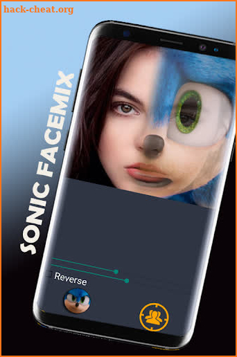 Sonic Funny FaceMix screenshot