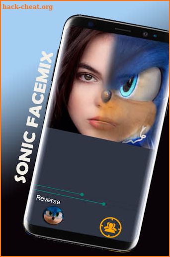 Sonic Funny FaceMix screenshot
