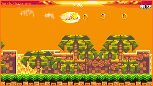 Sonik Advance II screenshot