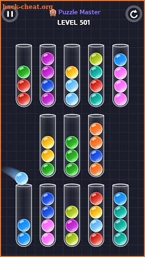Sort Color Puzzle screenshot