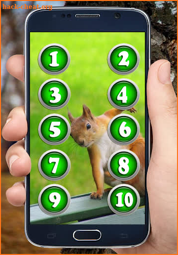 Sounds of Squirrels screenshot