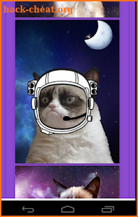Space Grumpy Memes Generator screenshot