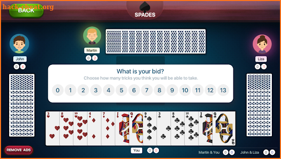 Spades Free Card Game screenshot