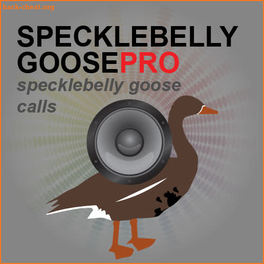 Specklebelly Goose eCaller screenshot