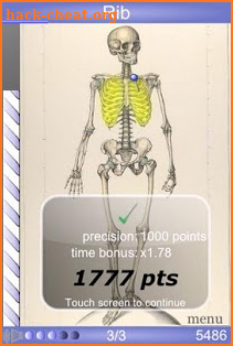 Speed Bones MD screenshot