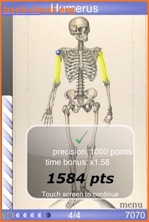 Speed Bones MD screenshot