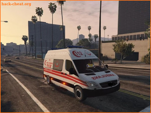 Speedy Ambulance Driver screenshot
