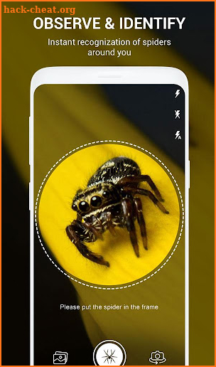 Spider Identifier App by Photo screenshot